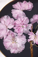 Load image into Gallery viewer, 5" Brass Tray