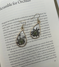 Load image into Gallery viewer, Tear Drop Earrings